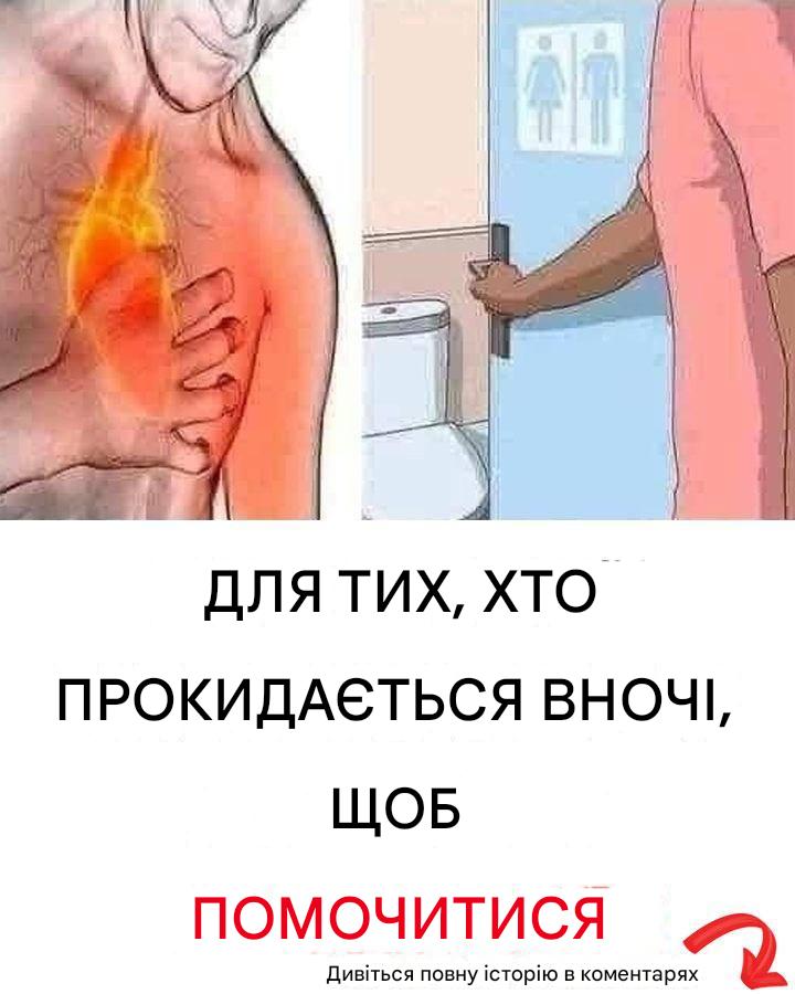 493034973_687569464190337_8077977199844252465_n