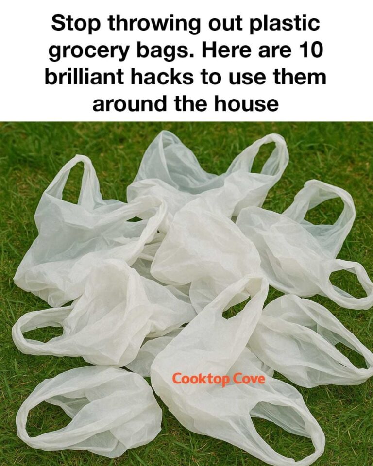 495578761_1088154013342987_6021273527106069018_n