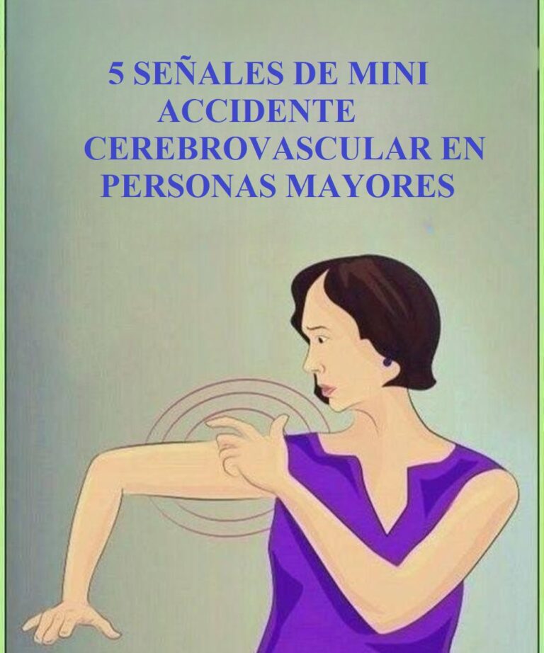 502562051_122136628094795850_180675844465128444_n