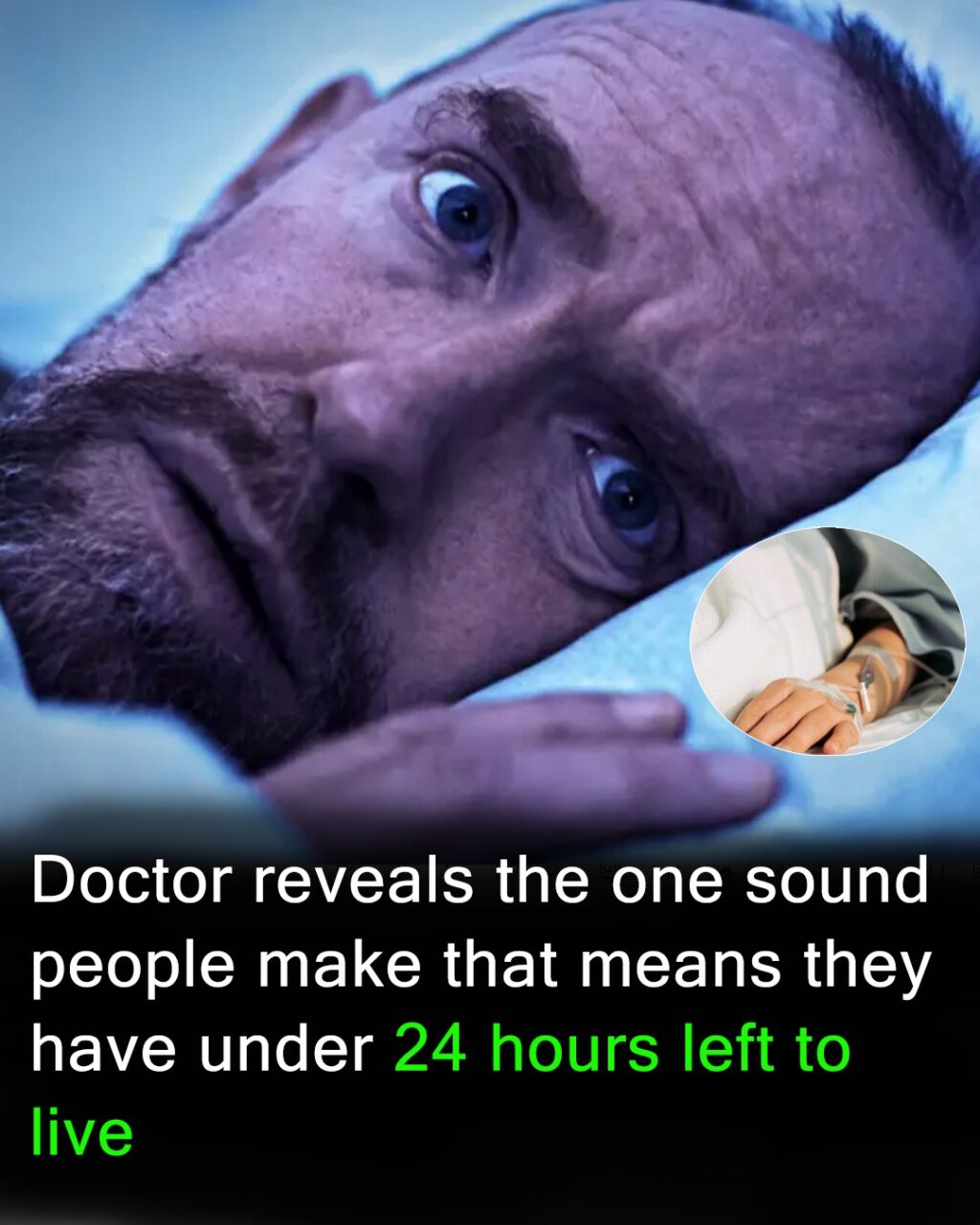 506410524_122160548780480147_3117887518642481855_n