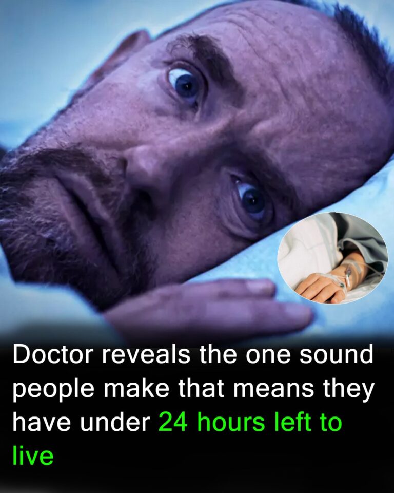 506410524_122160548780480147_3117887518642481855_n