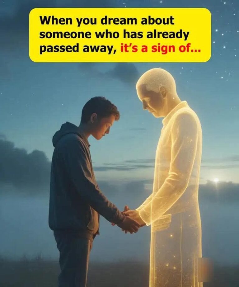 494182833_1073764231440140_1860716559238352567_n