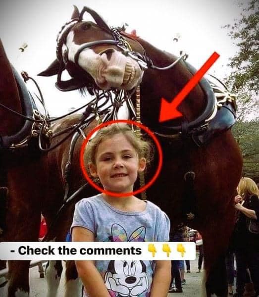 495014923_122229370868035423_5383407377642421602_n