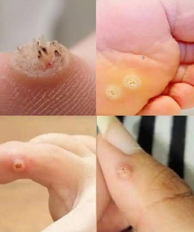 517529631_729691523118595_8850303492577379969_n