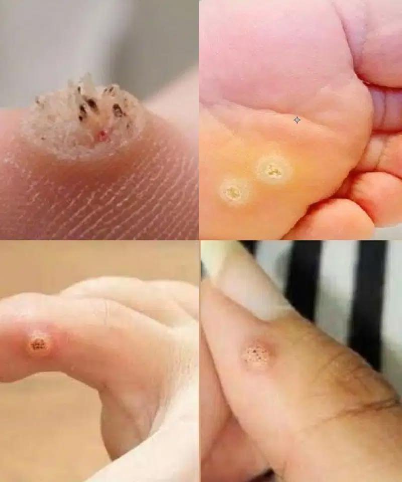 517529631_729691523118595_8850303492577379969_n