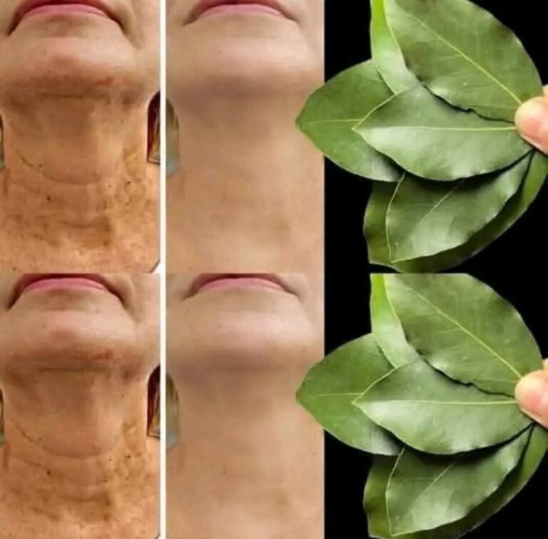 521360193_1135817245234838_2361953756469540387_n