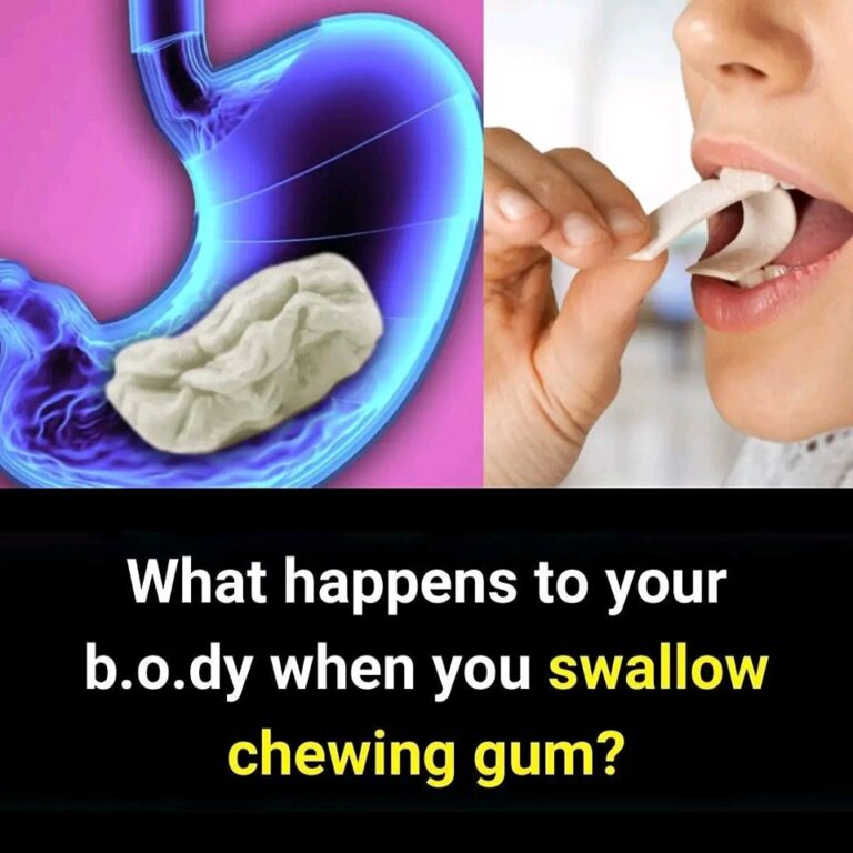 495138544_1093539409462622_7519382998947971018_n