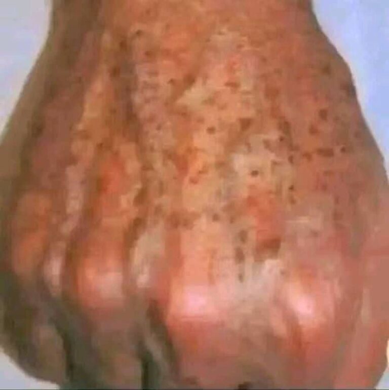 495962868_544973505342251_3626818859377320707_n