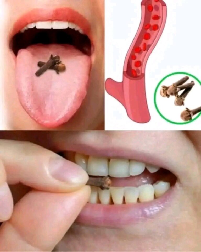 515501109_1145891514227411_1908030630604055263_n