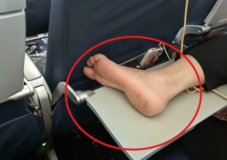 515502782_122138506094651301_8911508829682669553_n