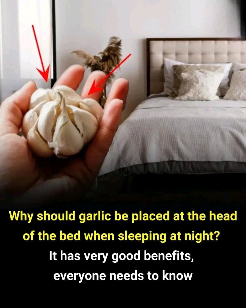 516383161_1146358080847421_7532420512712424550_n