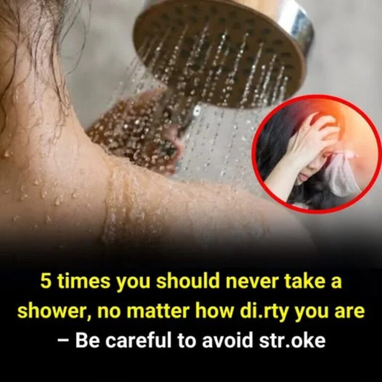 526540426_122167107326480147_6633324884329579803_n