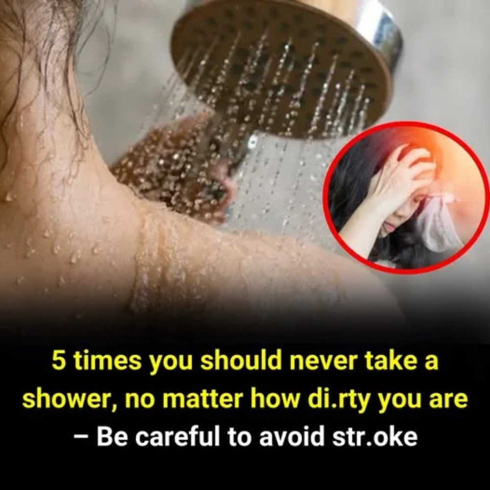 526540426_122167107326480147_6633324884329579803_n