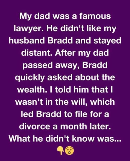 526598861_122167243586480147_2314343520152254660_n