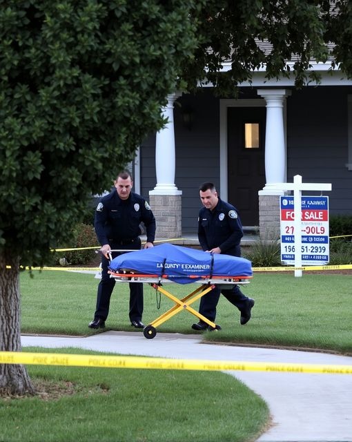 528211702_678532461868077_1188257401776744788_n