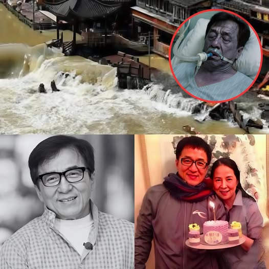 530232330_122189620304337250_1768611342902498590_n