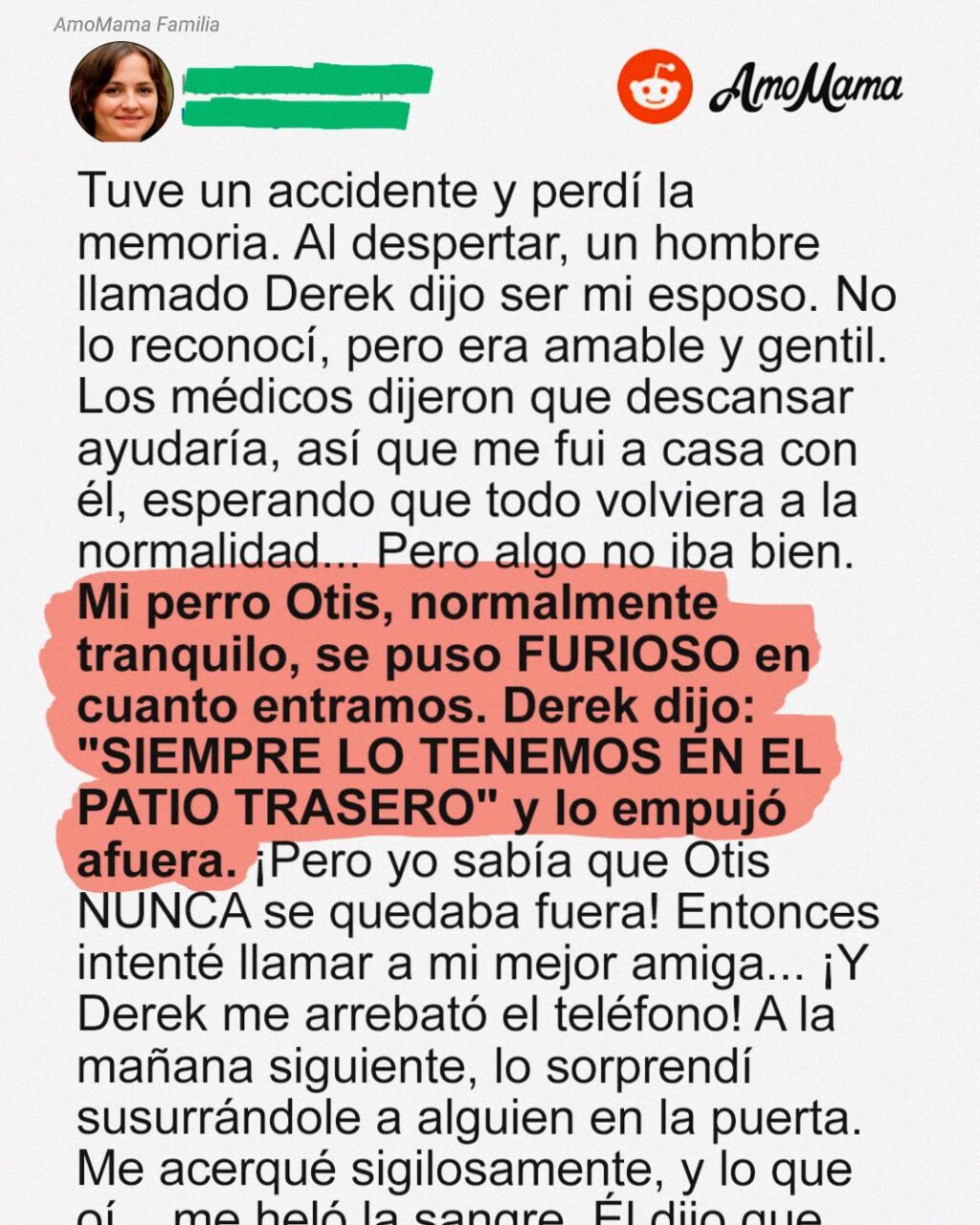 530269669_1167713342054267_5524768254207861298_n