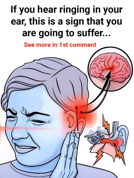 530460228_122189207192337250_8162712255968772523_n