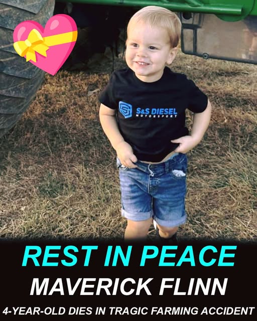 530926304_122189356298337250_4405444539300192316_n