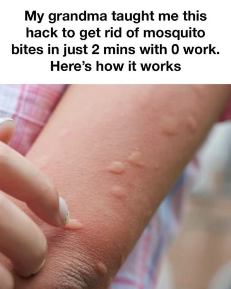 533133654_122231878766114179_3437895507447397817_n