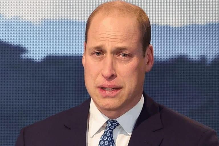 536267410_122250768698035423_1586209731317572033_n