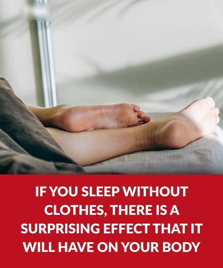 498023307_122163039638557643_9214449327525666668_n