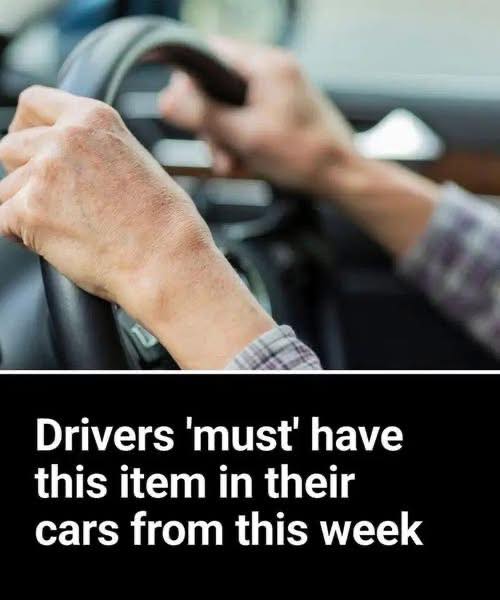 571052139_122200217360337250_7708431116269971591_n